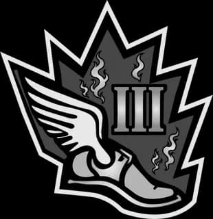 Level 3 badge