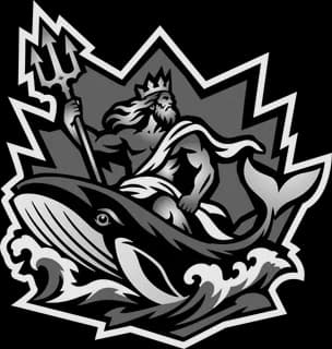 Whale badge